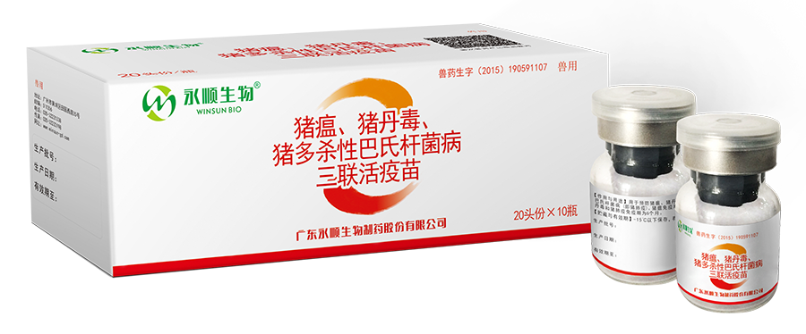 猪瘟、猪丹毒、猪多杀性巴氏杆菌病三联活疫苗（细胞源+GC42