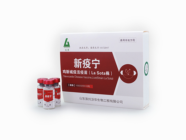 新疫宁